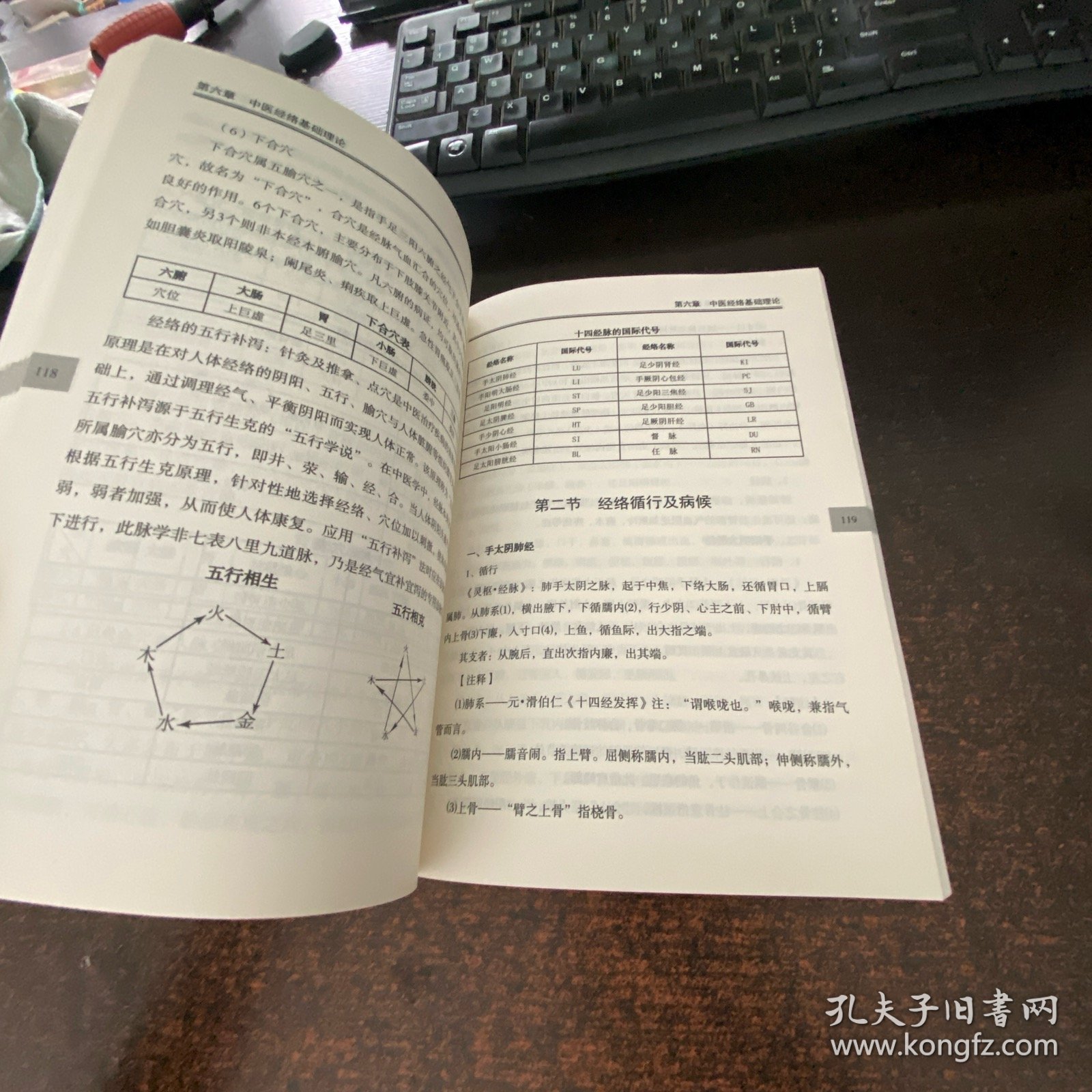 中医刁氏脊椎诊疗学