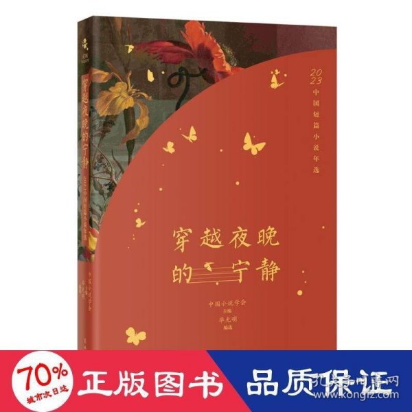 穿越夜晚的宁静：2023中国短篇小说年选