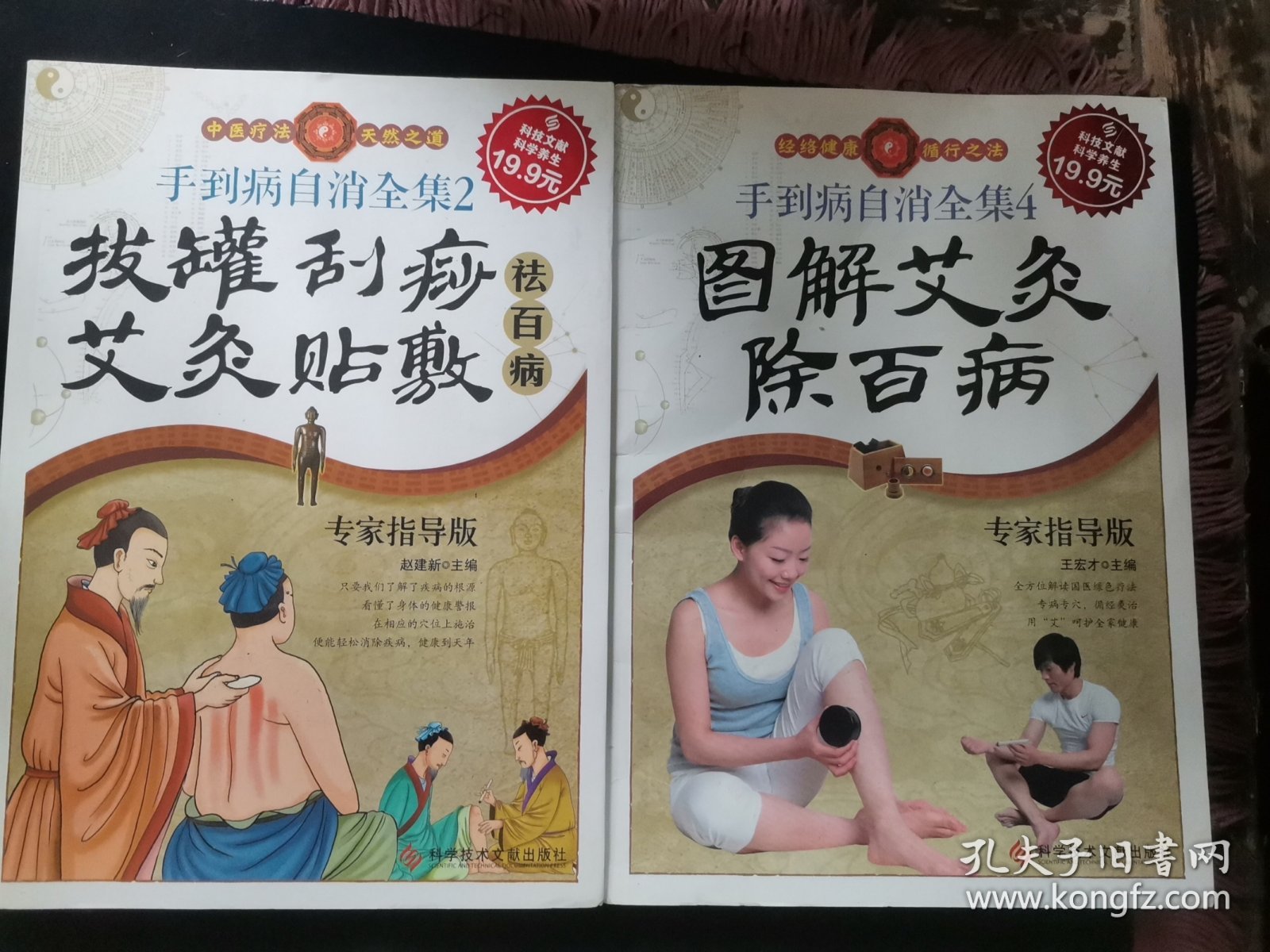 科技文献：手到病自消全集4：图解艾灸除百病（专家指导版）图上两本合售