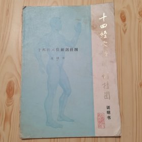 十四经穴位解剖挂图
