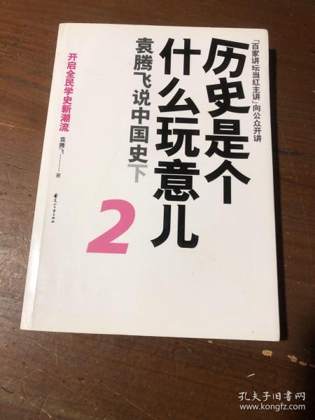 历史是个什么玩意儿2：袁腾飞说中国史下