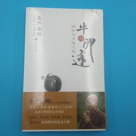 牛的印迹：禅修与开悟之路