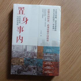 置身事内