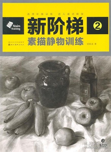 新阶梯2：素描静物训练