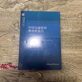 中国金融科技燃指数报告（2021）