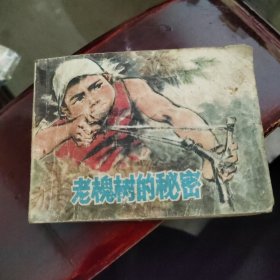 老槐树的秘密