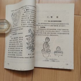 仙人掌和多肉植物 仙人掌花卉 两本合售
