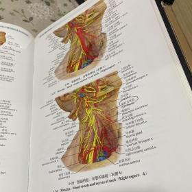 人体局部解剖学实物图谱（精）