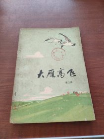 大雁高飞