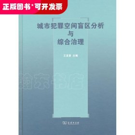 城市犯罪空間盲區(qū)分析與綜合治理