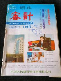 《湖北审计》月刊，1996年1-12期合订