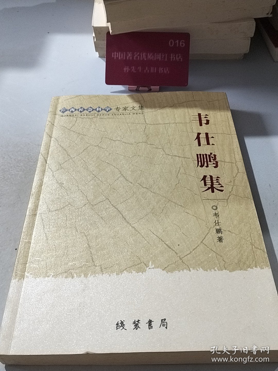 广西社会科学专家文集：韦仕鹏集