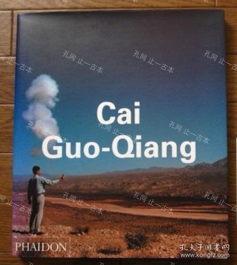 价可议 Cai Guo Qiang nmzdjzdj