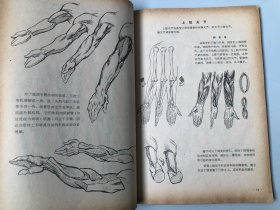 浙江美术学院编撰教材 人体结构书籍