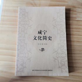 咸宁文化简史