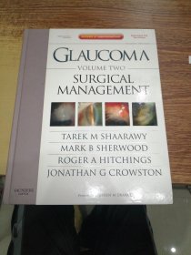 Glaucoma （英文原版 两册合售）
