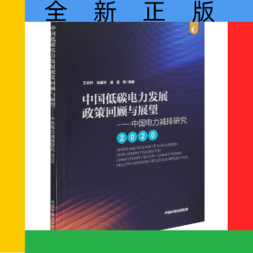 中國(guó)低碳電力發(fā)展政策回顧與展望——中國(guó)電力減排研究2020