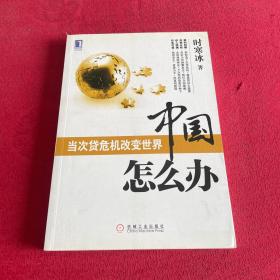 中国怎么办：当次货危机改变世界