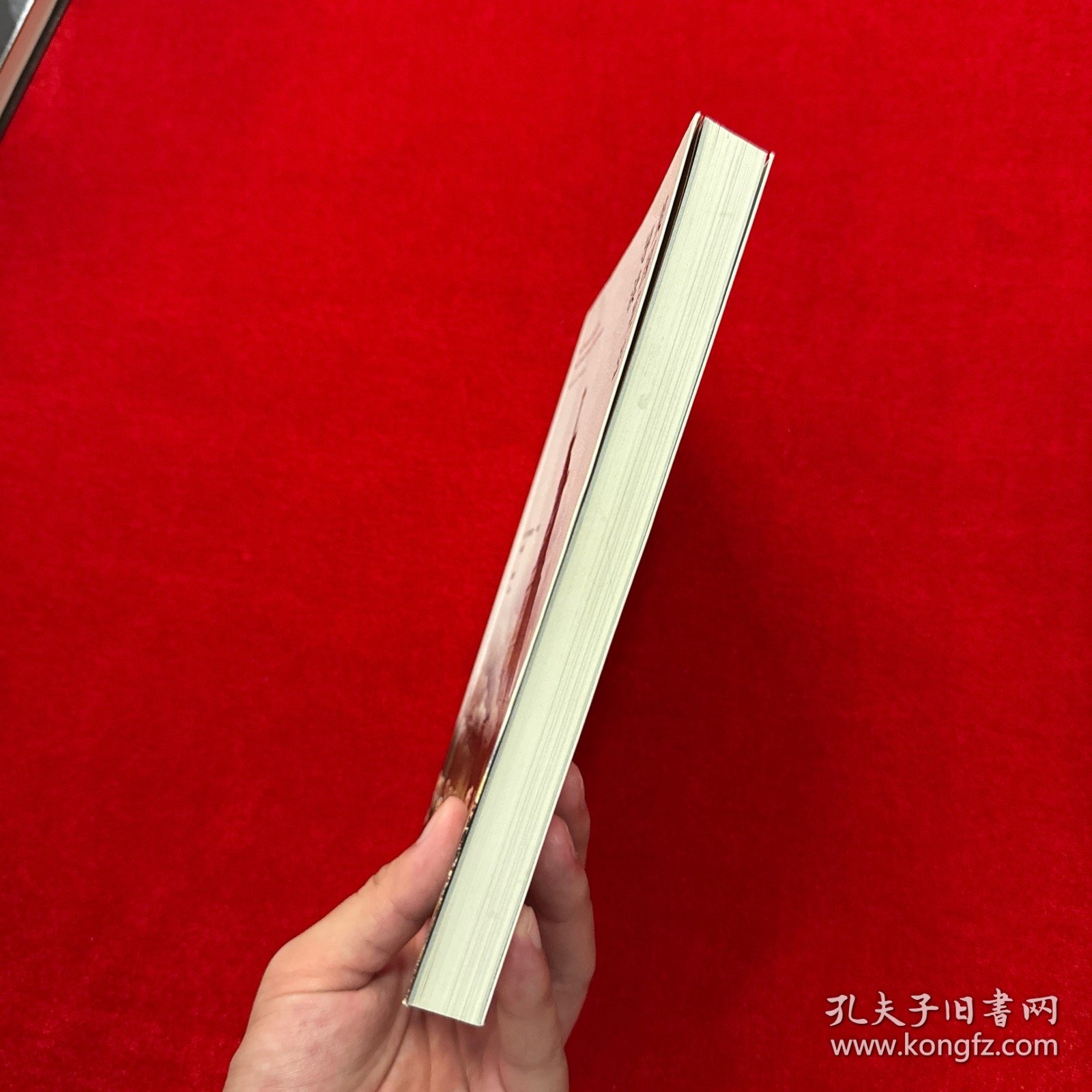 美国宪法导读