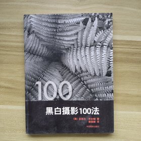 黑白摄影100法