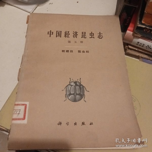 中国经济昆虫志 第五册 鞘翅目 瓢虫科