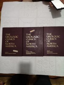 THE UROLOGIC CLINICS OF NORTH AMERICA 1989年16开精装合订3册合售 英文原版医学书