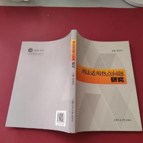 （正版现货）刑法适用热点问题研究