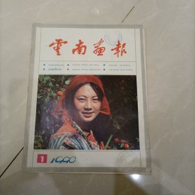 云南画报1990年第1期