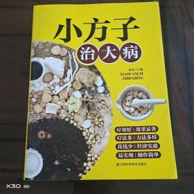 小方子治大病