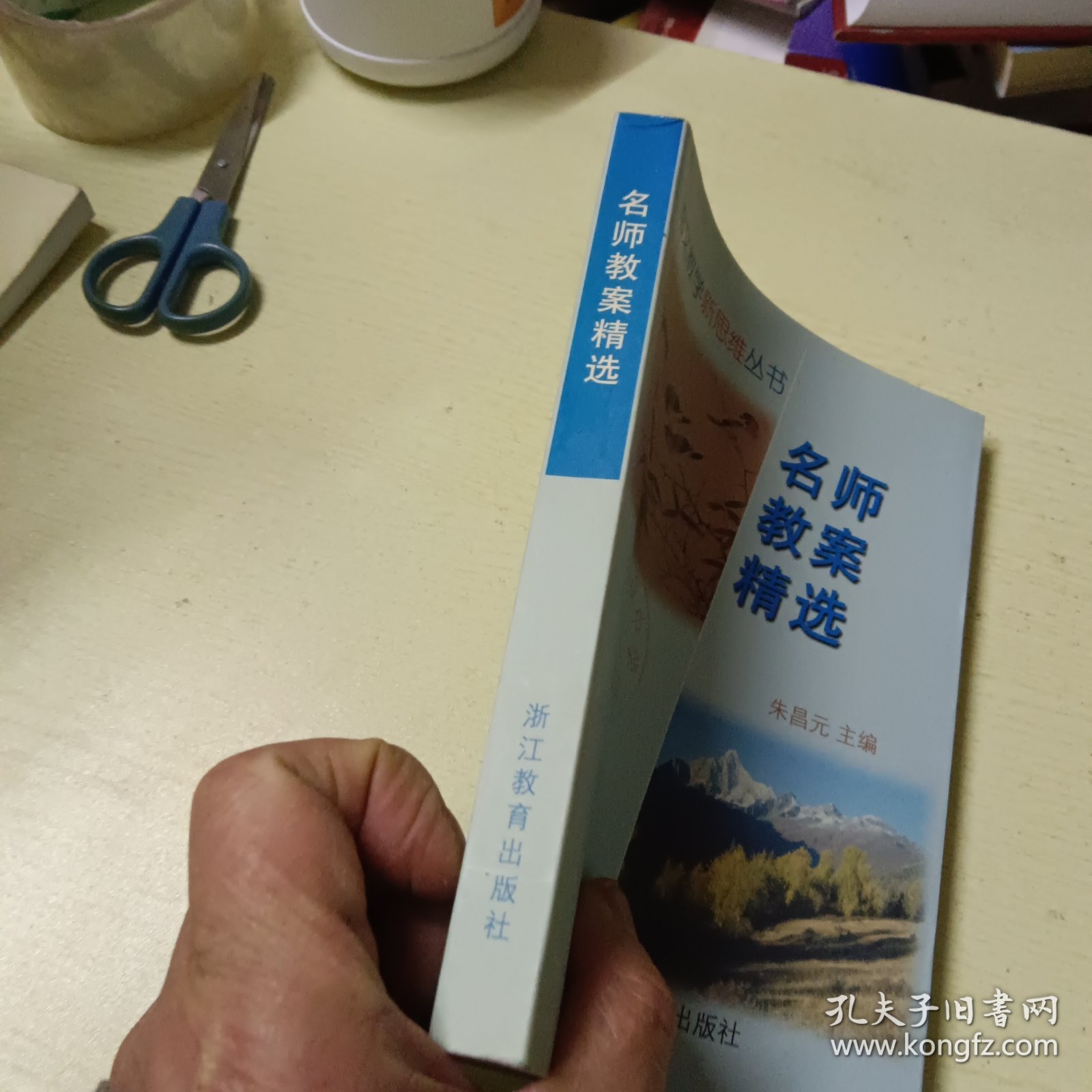 名师教案精选/语文教学新思维丛书