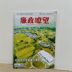 廉政瞭望2024年第7期 （打好乡村全面振兴漂亮仗)】