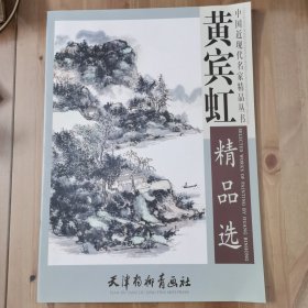 中国近现代名家精品丛书：黄宾虹精品选