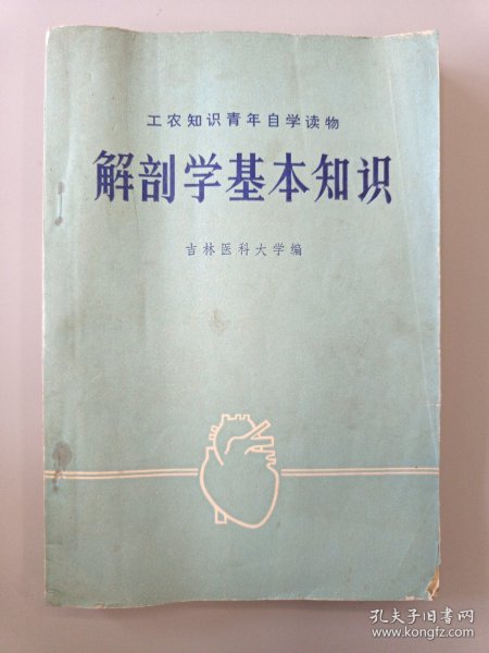 解部学基本知识