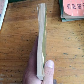 陈氏嫡传蔡李佛小梅花拳