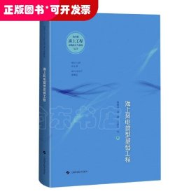 海上风电筒型基础工程(新时代海上工程创新技术与实践丛书)