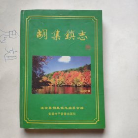 胡集镇志