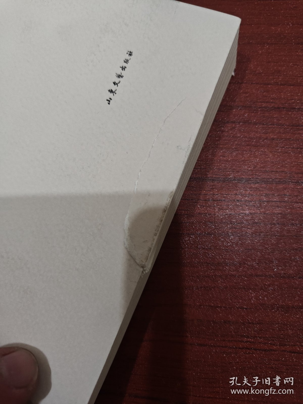 万物闪耀/文学鲁军新锐文丛