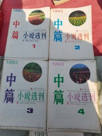 中篇小说选刊1993年1-2-3-4-6共5本合售