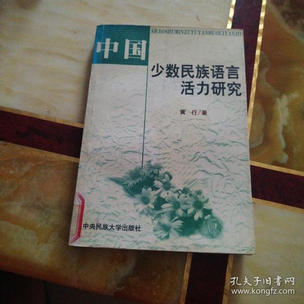 中国少数民族语言活力研究