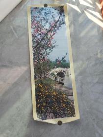 南京玄武湖 80年代挂画