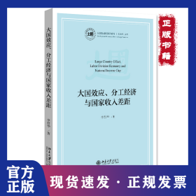 大國效應、分工經(jīng)濟與國家收人差距 9787301318331