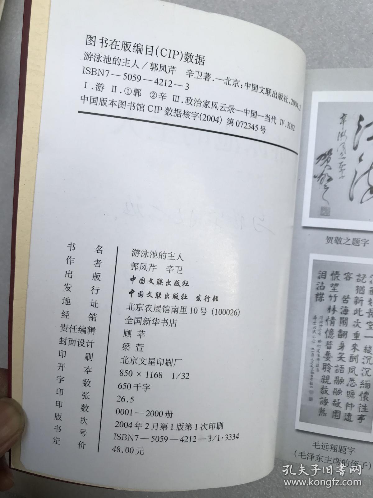 游泳池的主人