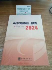 山东发展统计报告 2024 正版 实拍 现货