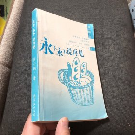 永不永不说再见