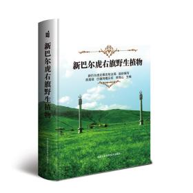 保正版！新巴尔虎右旗野生植物9787511631572中国农业科学技术出版社胡高娃，巴德玛嘎日布，李海山