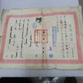 50年代蒙文毕业证书