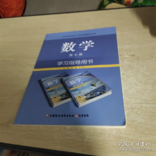 数学学习指导用书. 第7册