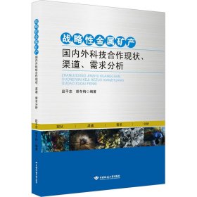 战略性金属矿产国内外科技合作现状、渠道、需求分析