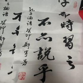 孔子论    学而时习之  
郑宇芳