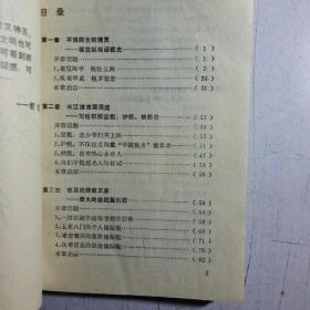 中国税务大透视:长篇报告文学